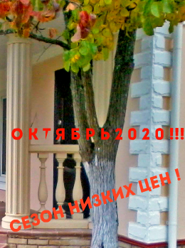 Акция "Октябрь 2020"! Сезон низких цен !
